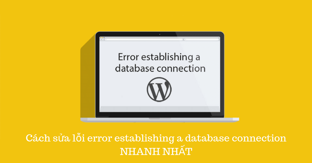 Cách sửa lỗi error establishing a database connection nhanh chóng dễ dàng