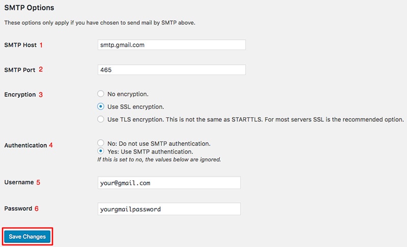 Điền các thông tin trong SMTP Options