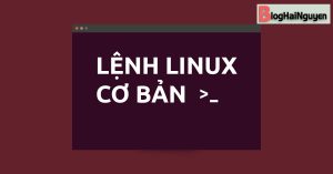 Hướng dẫn các lệnh cơ bản trong Linux cần nắm rõ 2021