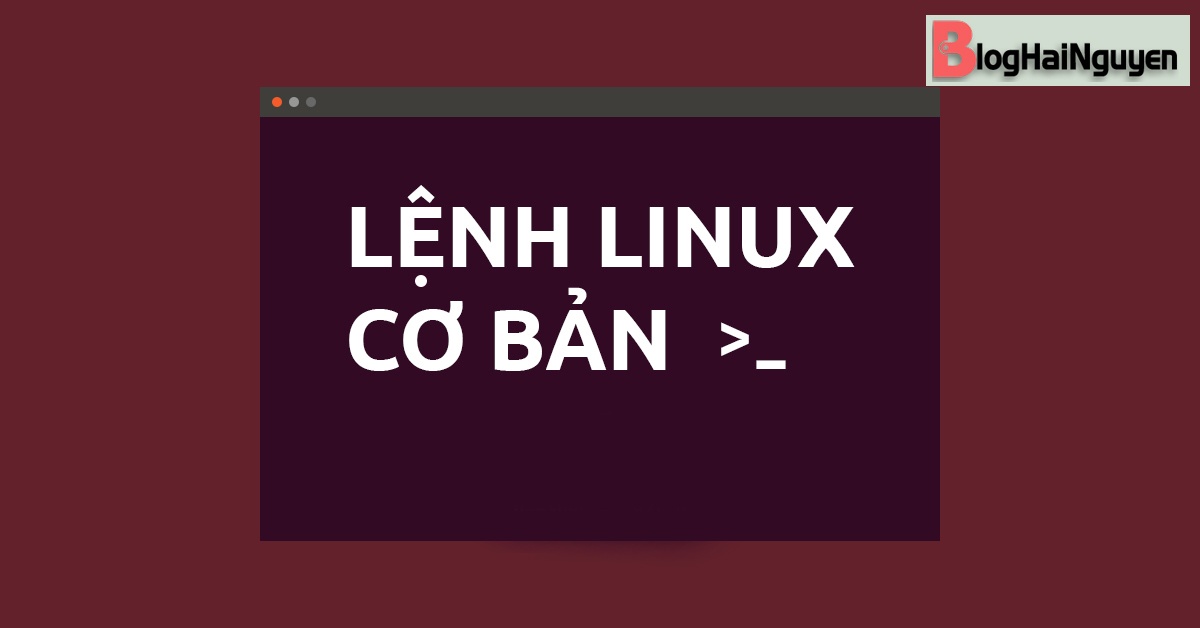 Hướng dẫn các lệnh cơ bản trong Linux cần nắm rõ 2021