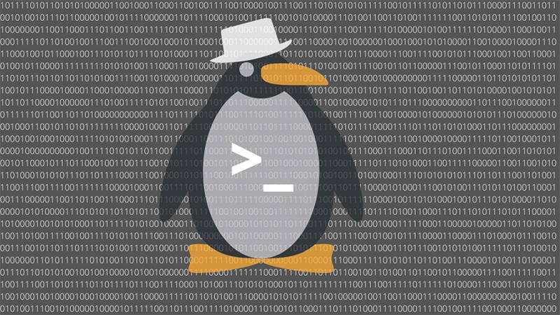 Linux gồm những lệnh cơ bản nào nên tìm hiểu?